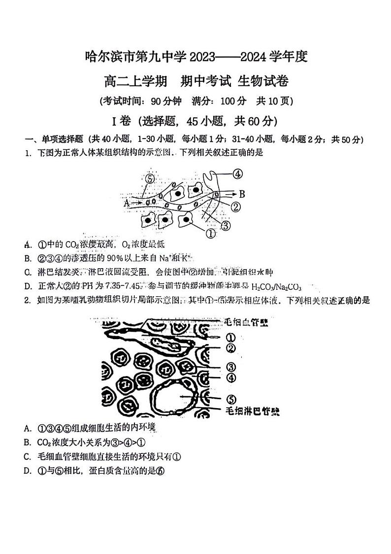 黑龙江省哈尔滨市第九中学2023-2024学年高二上学期期中测试生物试题01