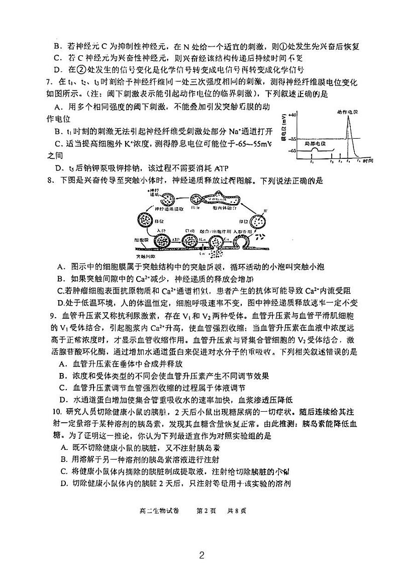 江苏省宿迁市泗阳县2023-2024学年高二上学期11月期中生物试题第2页