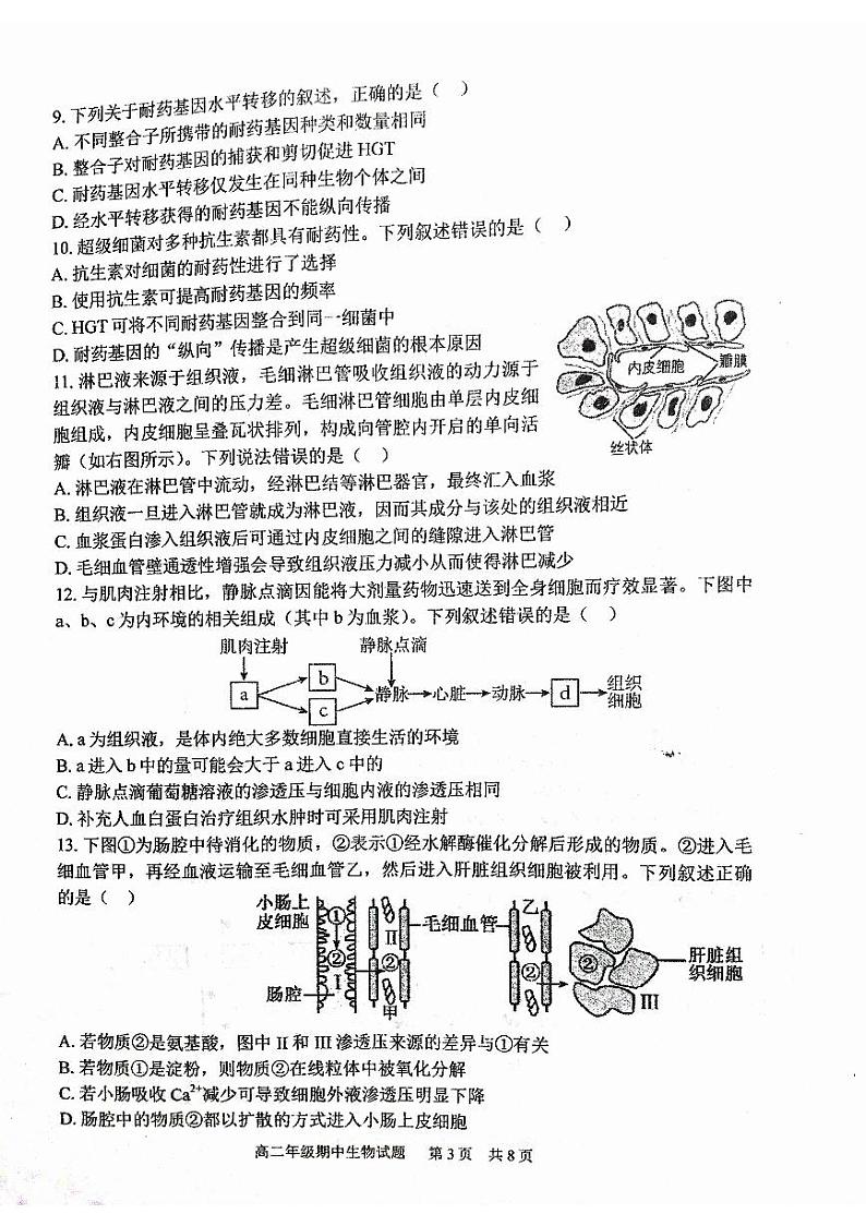 湖北省武汉市华中师范大学第一附属中学2023-2024学年高二上学期11月期中生物试题03