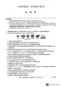 河北省保定市六校联盟2023-2024学年高一上学期11月期中生物学试题