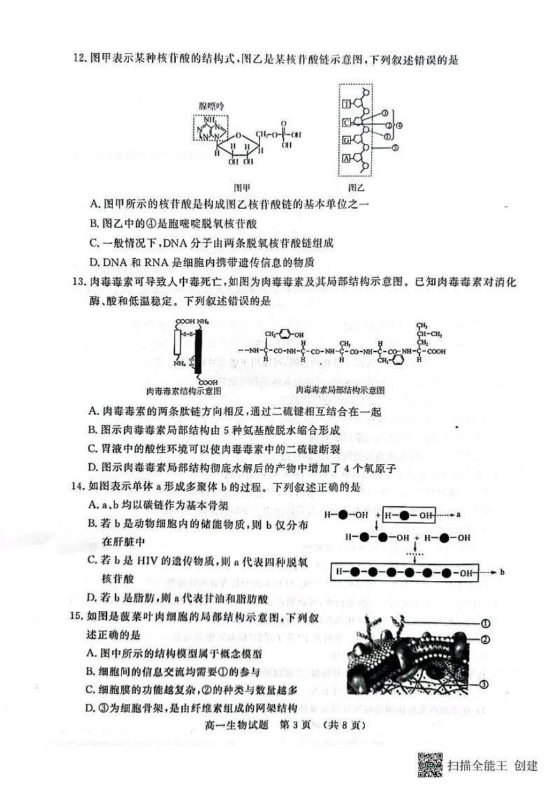 山东省济南各校及其他地区名校2023-2024学年高一上学期11月期中生物学试题第3页