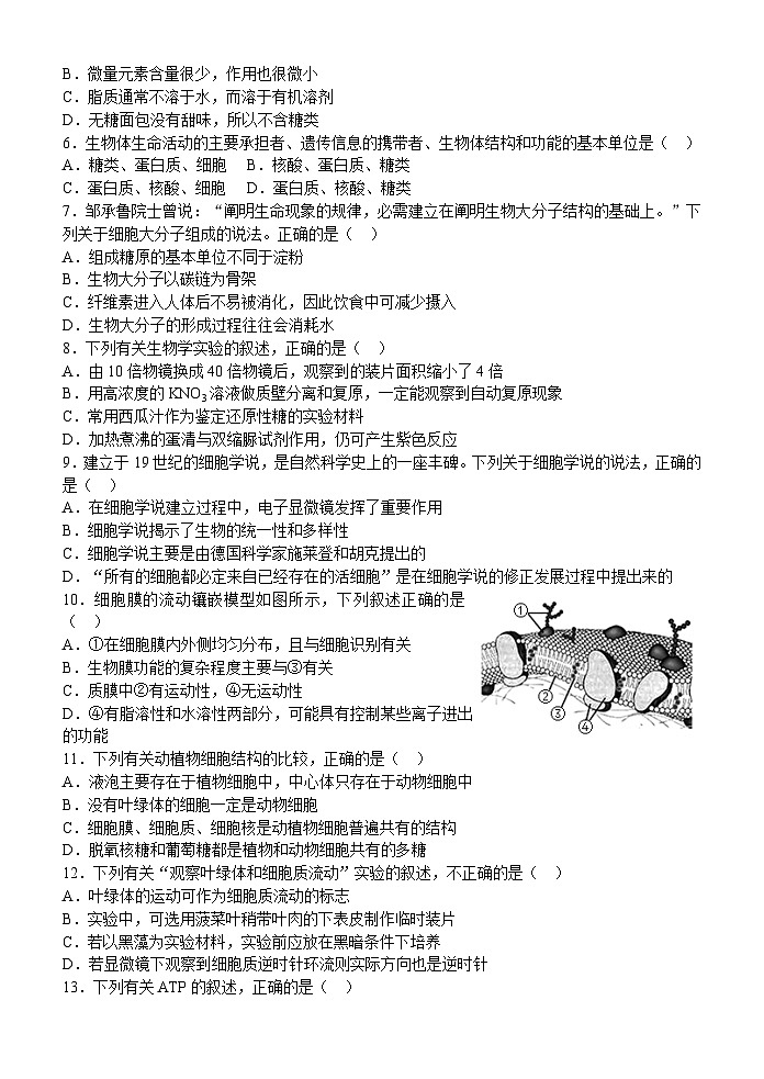 浙江省温州十校联合体2023-2024学年高一生物上学期期中考试试卷（Word版附答案）第2页