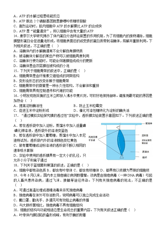 浙江省温州十校联合体2023-2024学年高一生物上学期期中考试试卷（Word版附答案）第3页