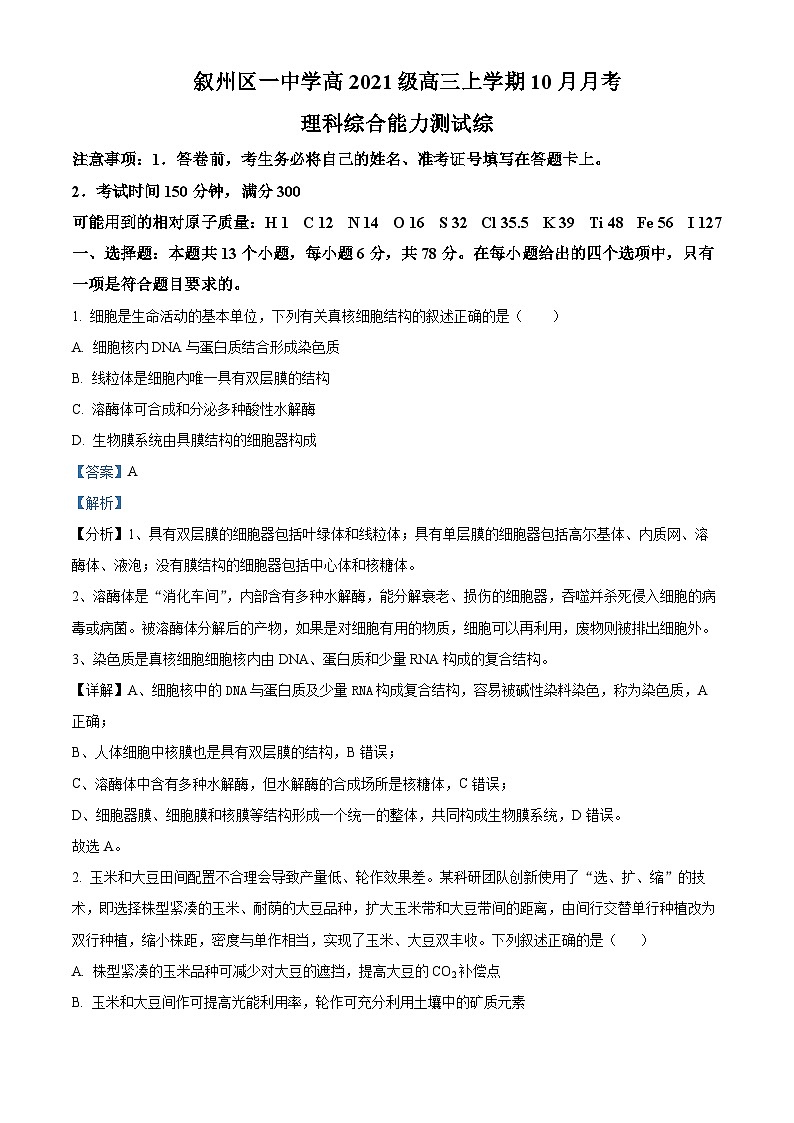四川省宜宾市叙州区第一中学2023-2024学年高三生物上学期10月月考试题（Word版附解析）01