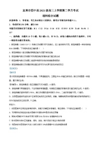 四川省宜宾市第四中学2023-2024学年高三生物上学期第二次月考试题（Word版附解析）