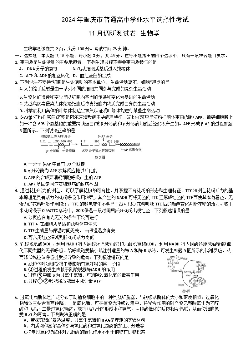 重庆市2023-2024学年高三生物上学期11月调研测试试题（Word版附解析）01