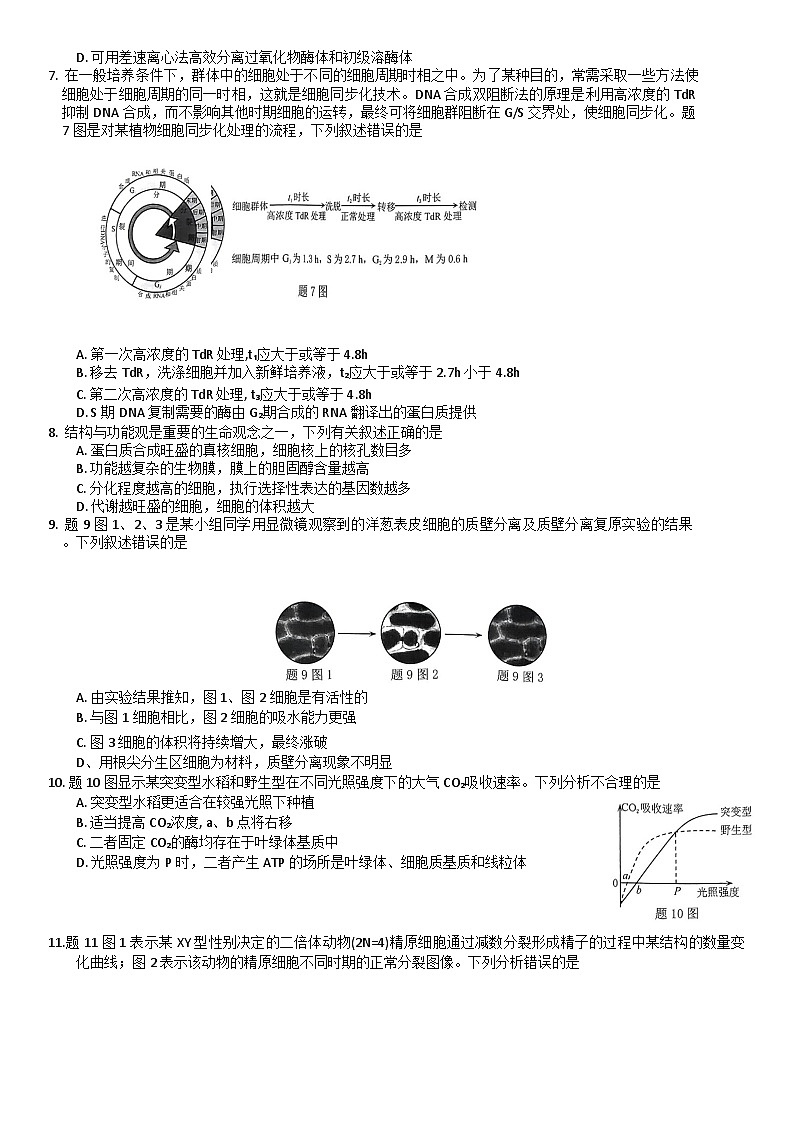 重庆市2023-2024学年高三生物上学期11月调研测试试题（Word版附解析）02