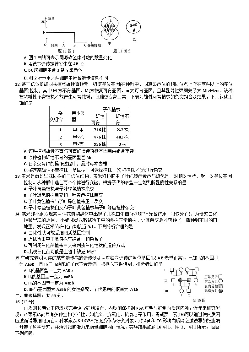 重庆市2023-2024学年高三生物上学期11月调研测试试题（Word版附解析）03