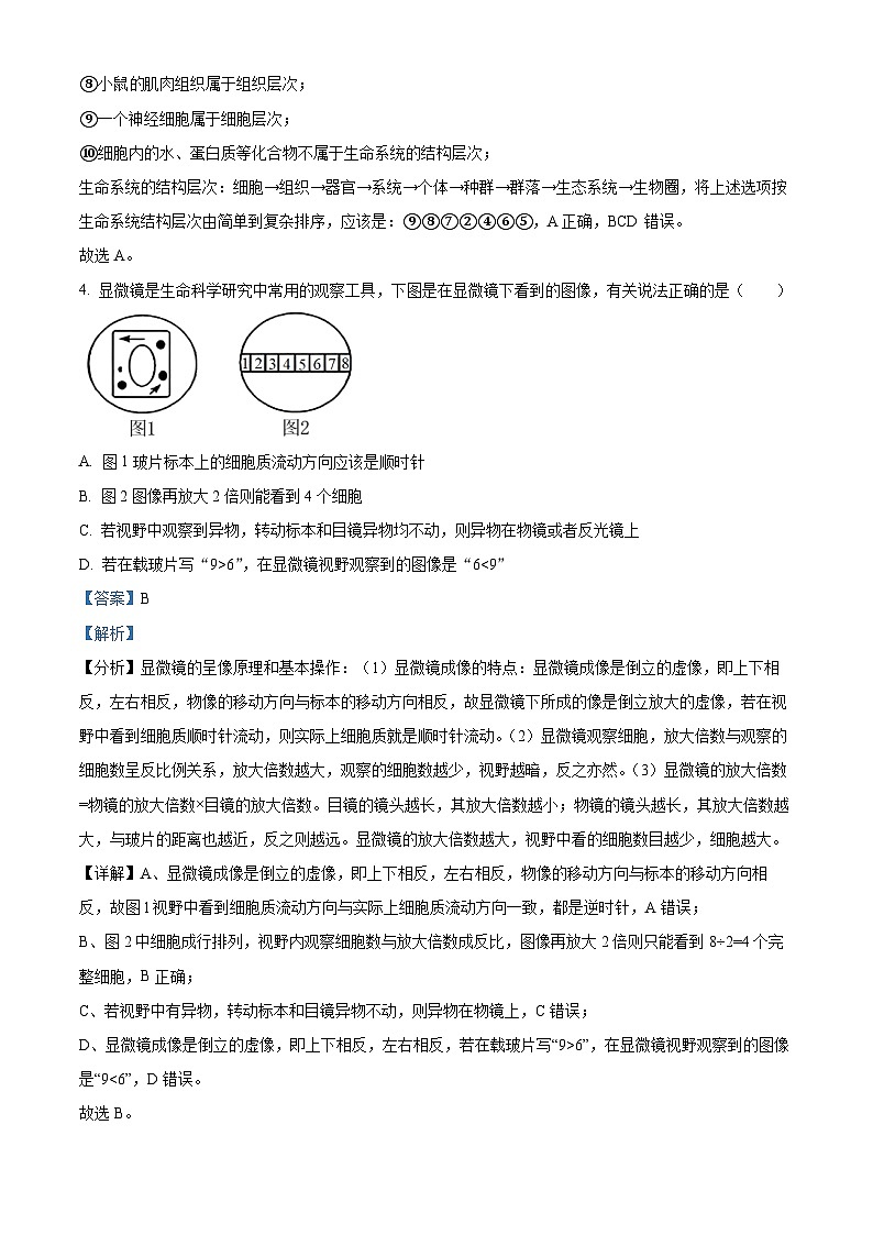 重庆市育才中学校2023-2024学年高一生物上学期拔尖强基联合定时检测（一）试题（Word版附解析）03