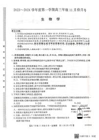 河北省沧州市三县联考2023-2024学年高三生物上学期11月月考试题（PDF版附答案）