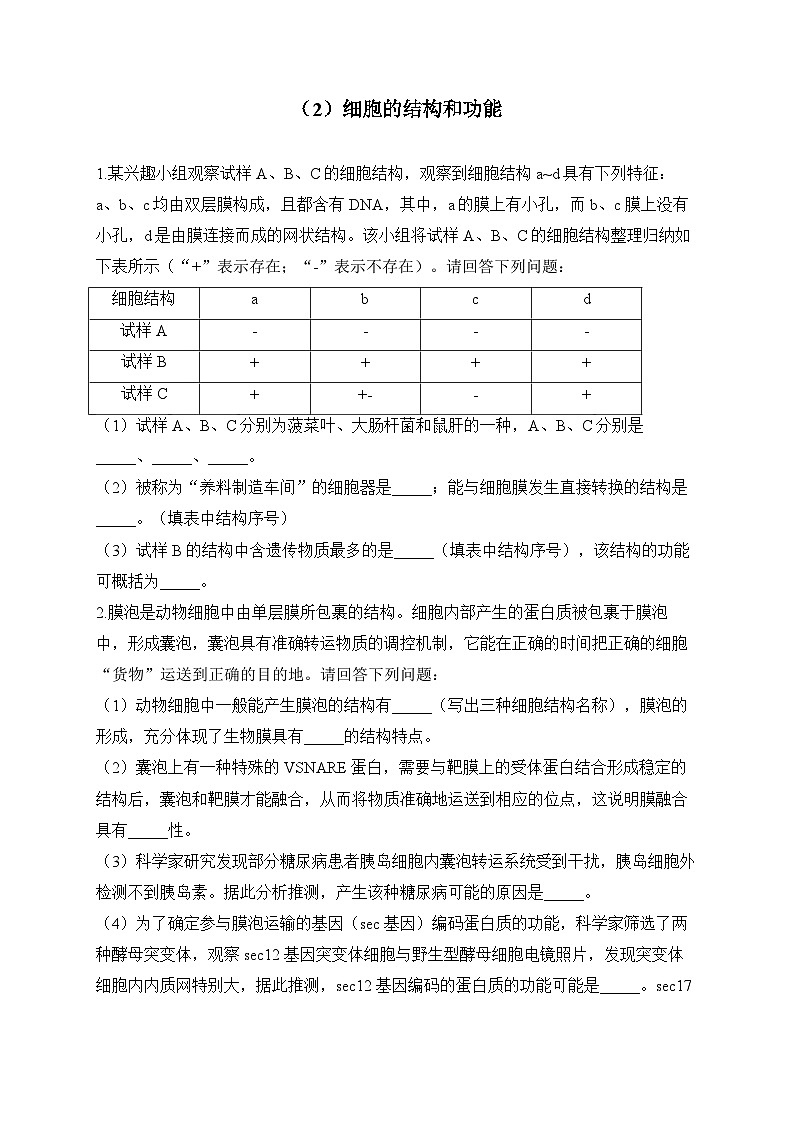 2024届高考生物一轮复习大题专练【配套新教材】（2）细胞的结构和功能第1页