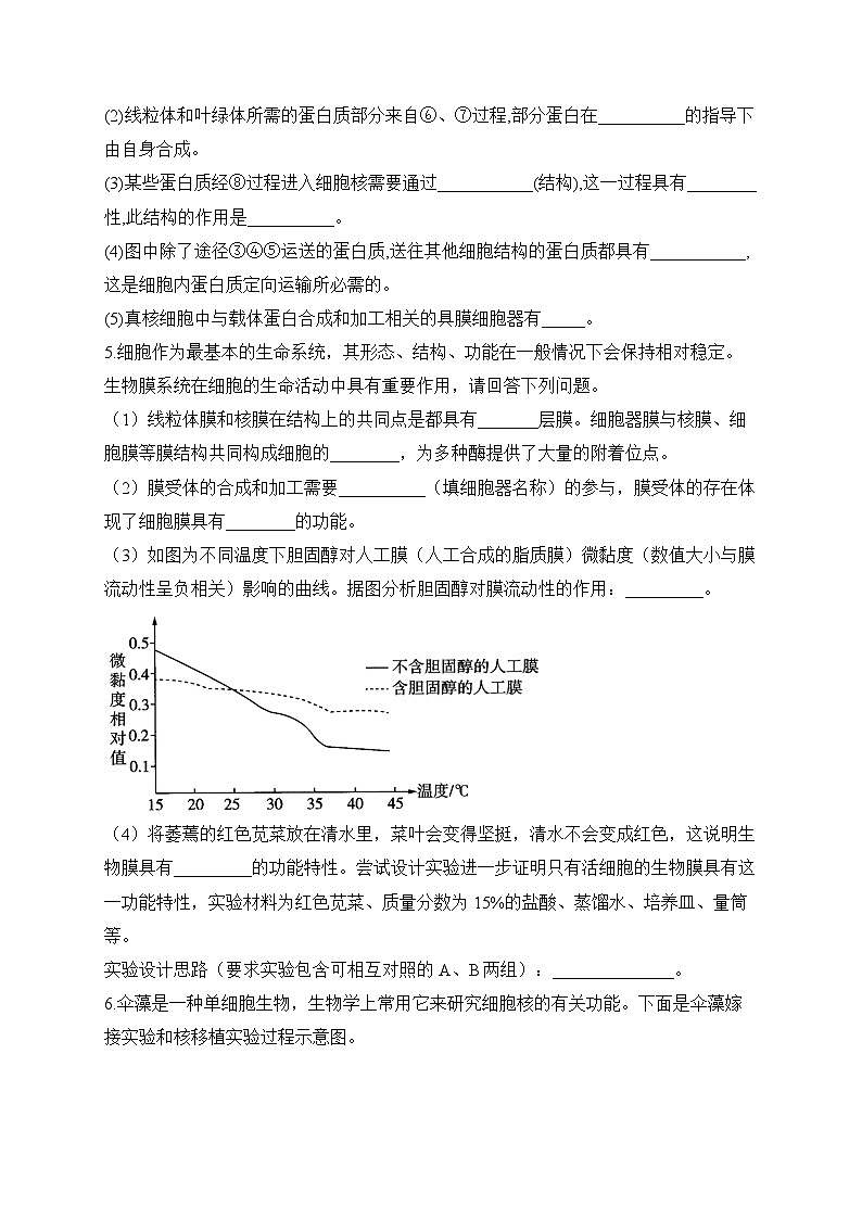 2024届高考生物一轮复习大题专练【配套新教材】（2）细胞的结构和功能第3页