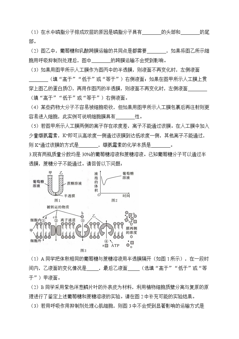 2024届高考生物一轮复习大题专练【配套新教材】（3）物质出入细胞的方式第2页