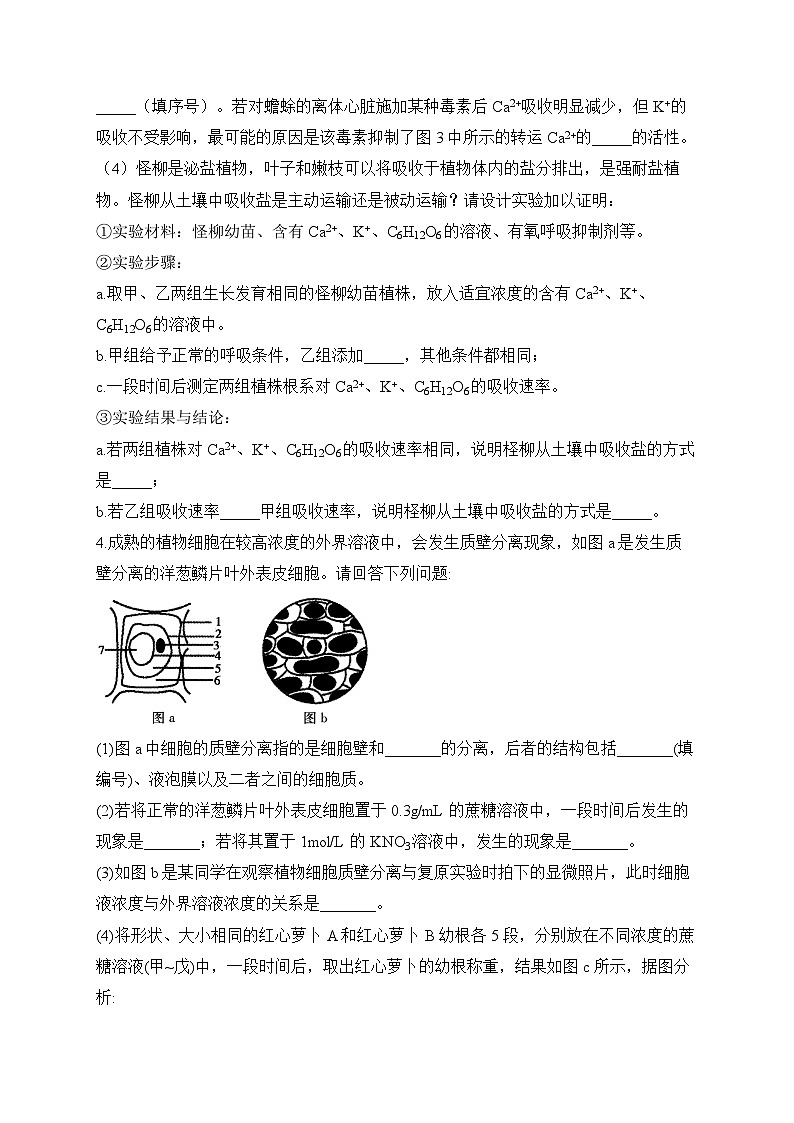 2024届高考生物一轮复习大题专练【配套新教材】（3）物质出入细胞的方式第3页