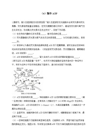 2024届高考生物一轮复习大题专练【配套新教材】（4）酶和ATP