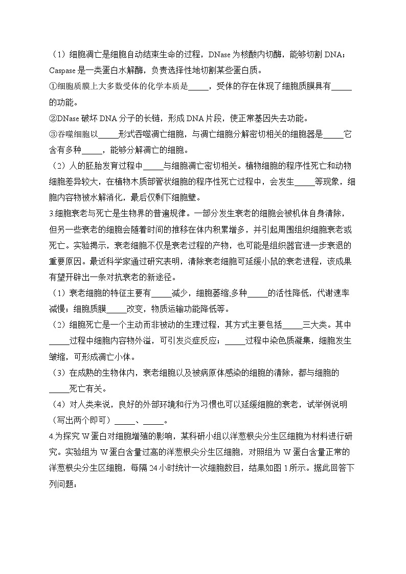 2024届高考生物一轮复习大题专练【配套新教材】（6）细胞的生命历程第2页