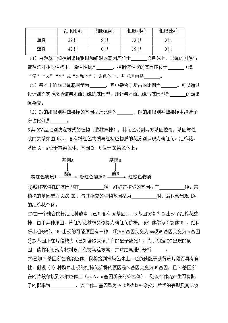 2024届高考生物一轮复习大题专练【配套新教材】（8）遗传的基本规律第3页
