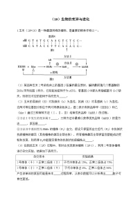 2024届高考生物一轮复习大题专练【配套新教材】（10）生物的变异与进化