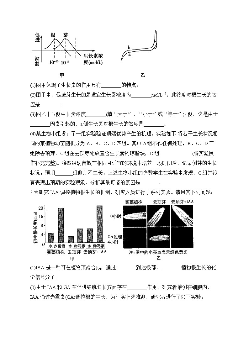 2024届高考生物一轮复习大题专练【配套新教材】（12）植物生命活动的调节第2页
