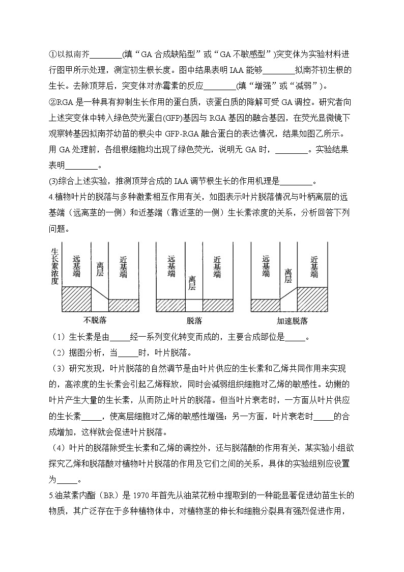 2024届高考生物一轮复习大题专练【配套新教材】（12）植物生命活动的调节第3页