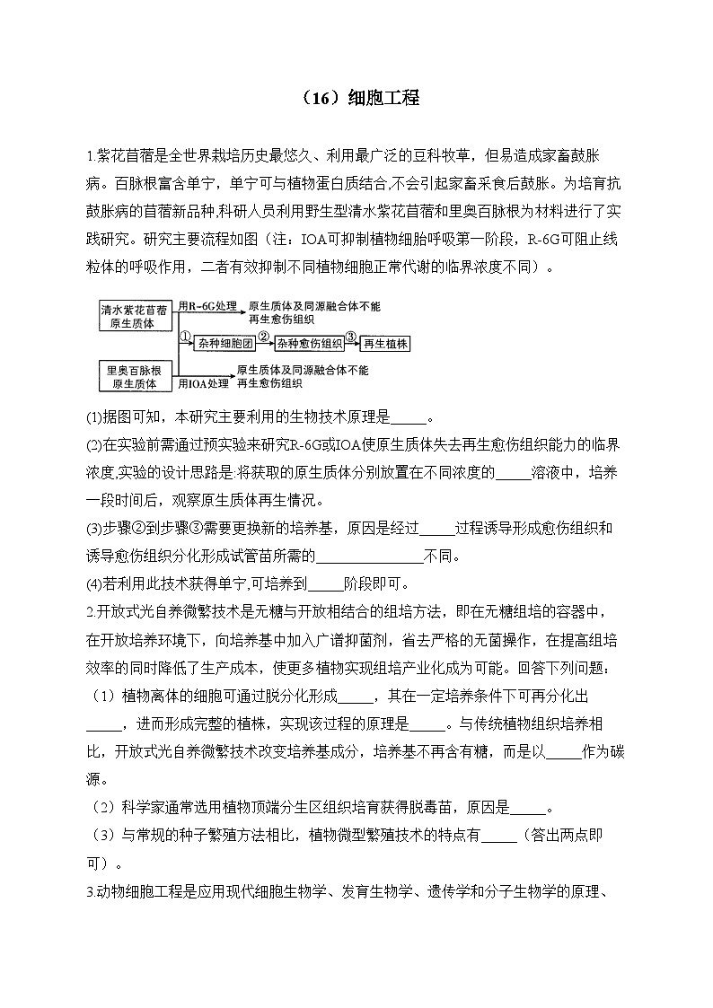 2024届高考生物一轮复习大题专练【配套新教材】（16）细胞工程第1页