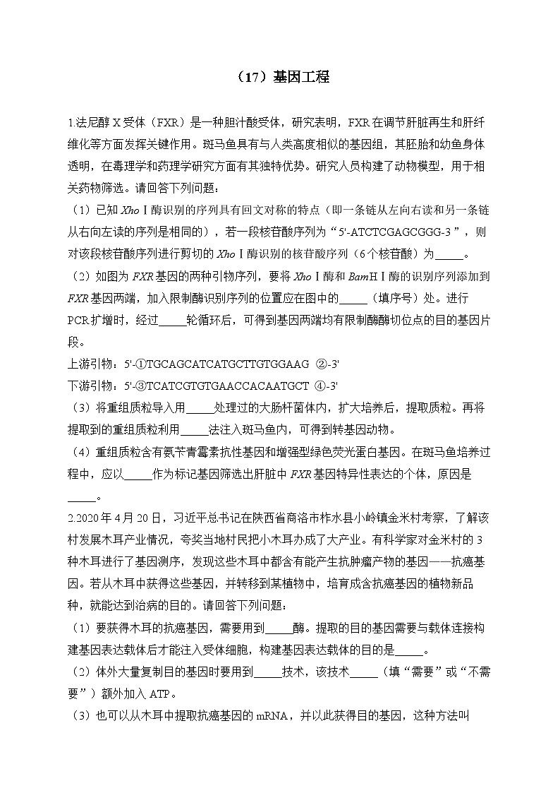 2024届高考生物一轮复习大题专练【配套新教材】（17）基因工程第1页