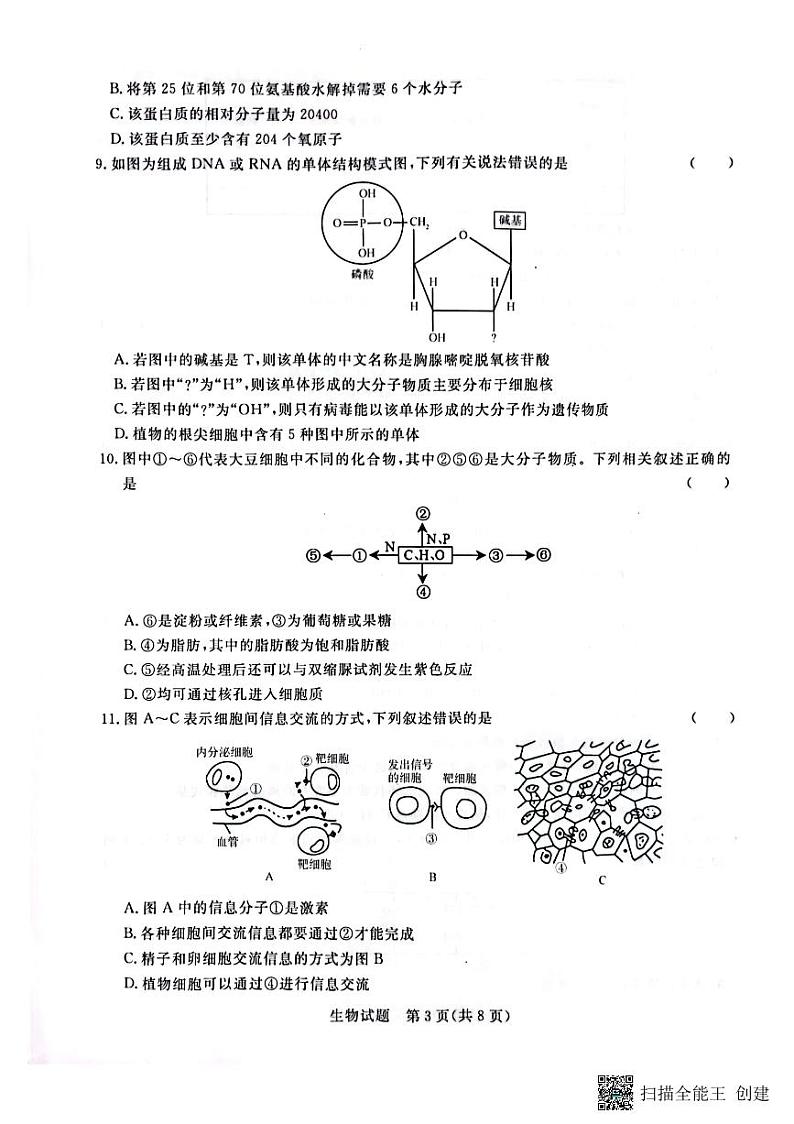 2023—2024学年河南省济源市高级中学高一上学期期中考试 生物试卷03