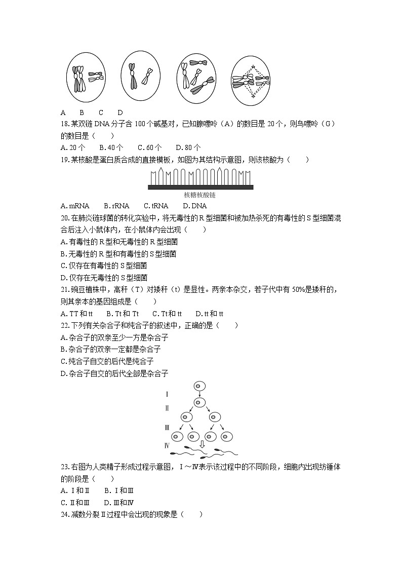 江苏省普通高中学业水平合格性考试模拟卷（三）生物（含答案）第3页