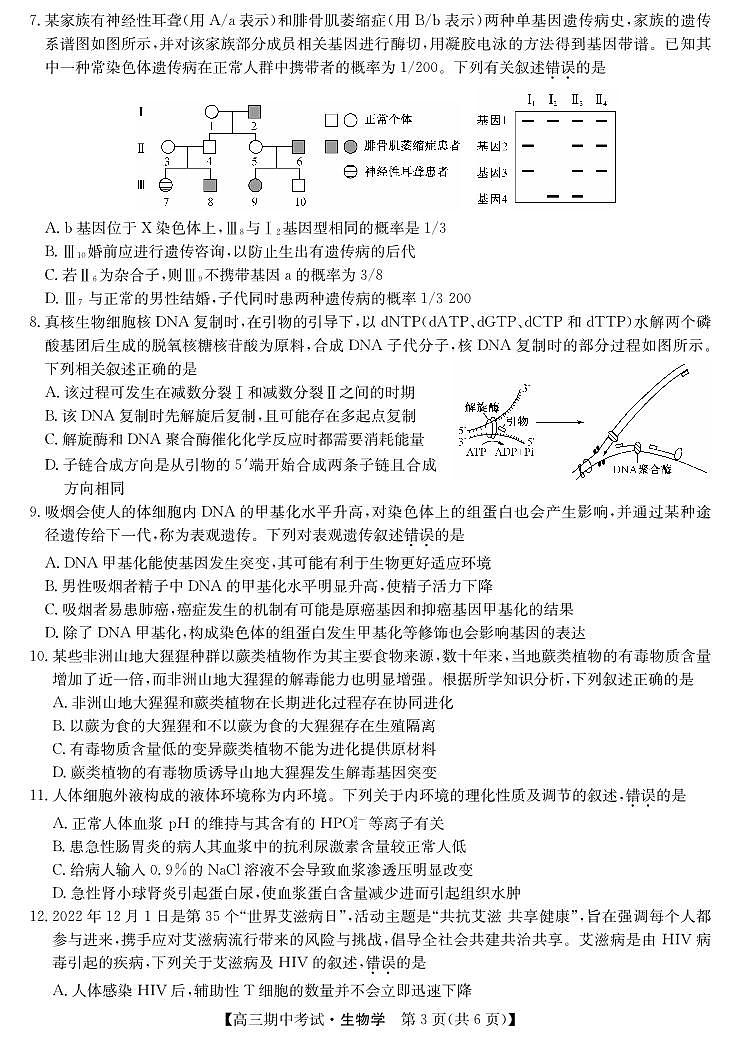 湖北省宜昌市协作体2023-2024学年高三上学期期中考试生物第3页