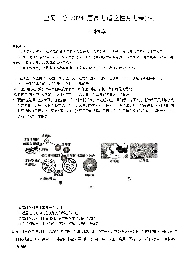 重庆市巴蜀中学校2023-2024学年高三上学期适应性月考卷（四）生物第1页