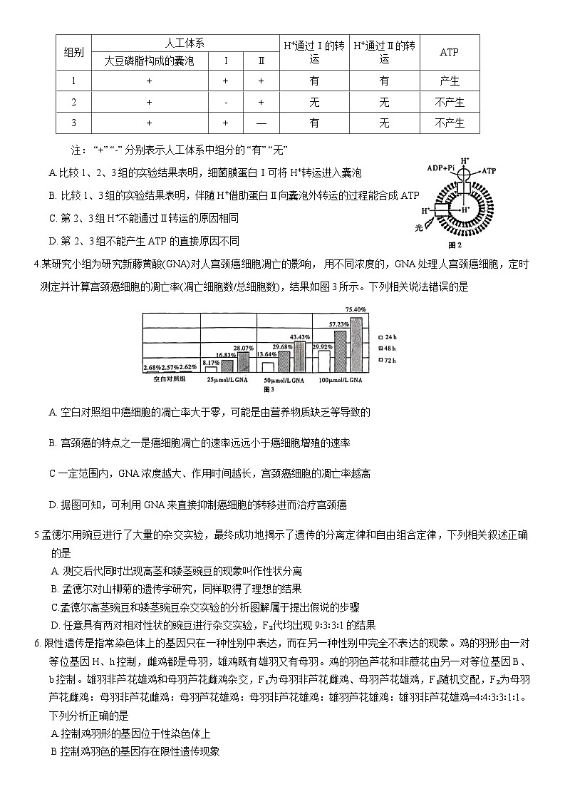 重庆市巴蜀中学校2023-2024学年高三上学期适应性月考卷（四）生物第2页