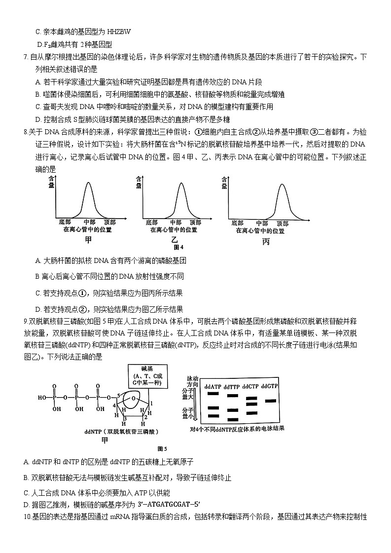 重庆市巴蜀中学校2023-2024学年高三上学期适应性月考卷（四）生物第3页