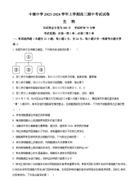 2024宜春丰城中学高三上学期期中考试生物含解析