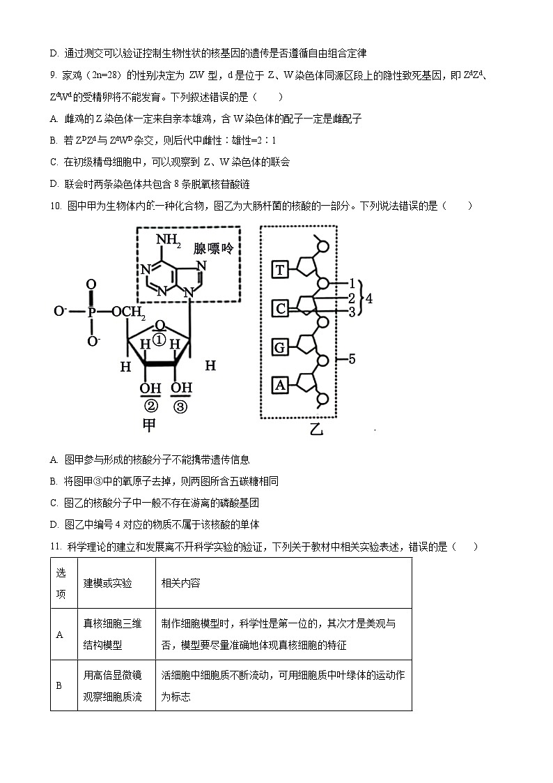 2024宜春丰城中学高三上学期期中考试生物含解析03