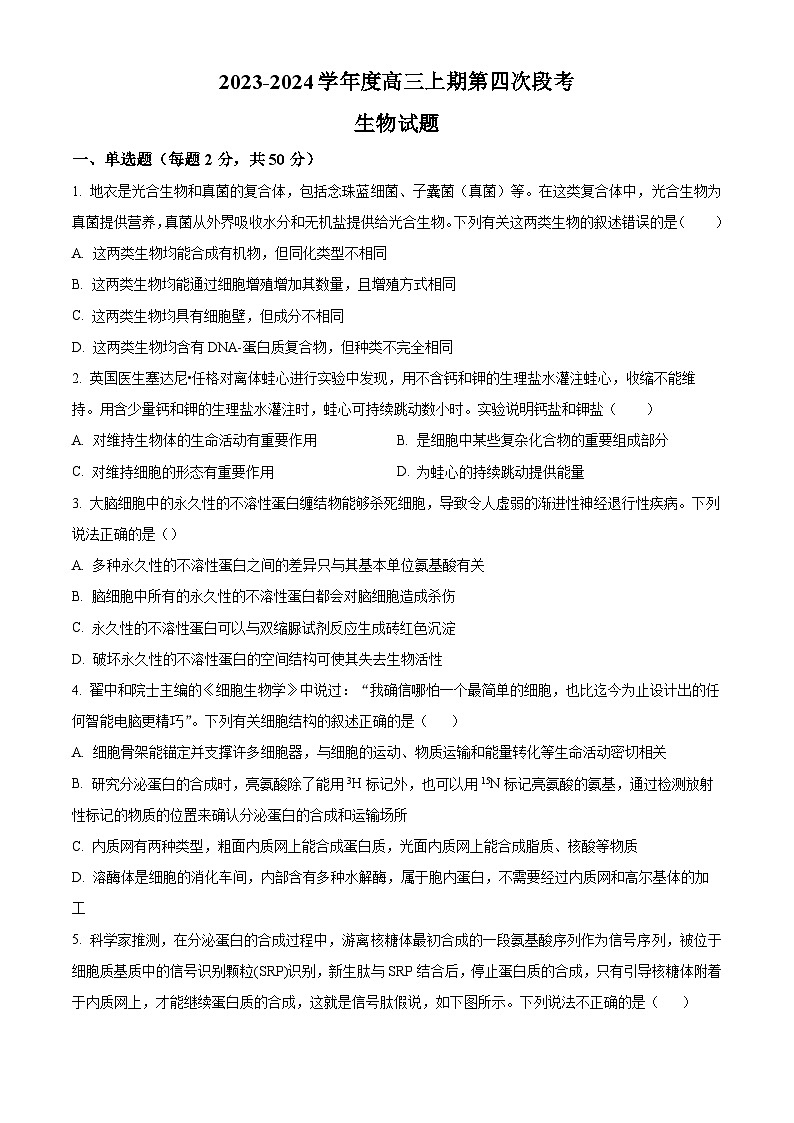 2024周口项城一中高三上学期11月期中考试生物含解析01