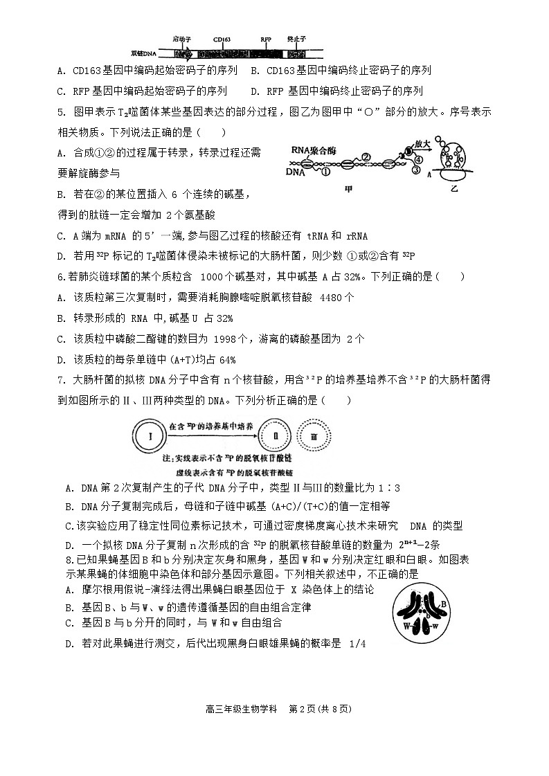 2024天津市耀华中学高三上学期第二次月考（11月）生物试题PDF版无答案03