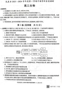 2024咸阳礼泉县高三上学期期中考试生物PDF版含答案