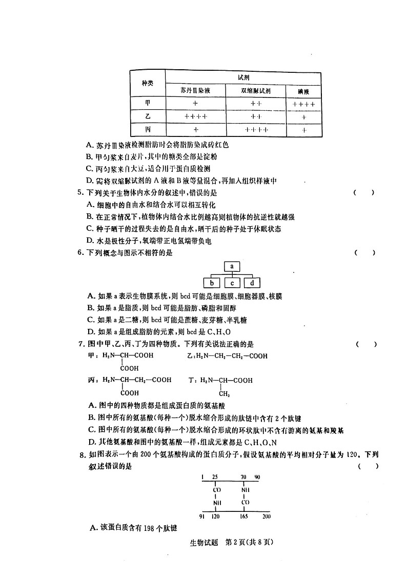 河南省青桐鸣联考2023-2024学年高一上学期期中考试生物试题02