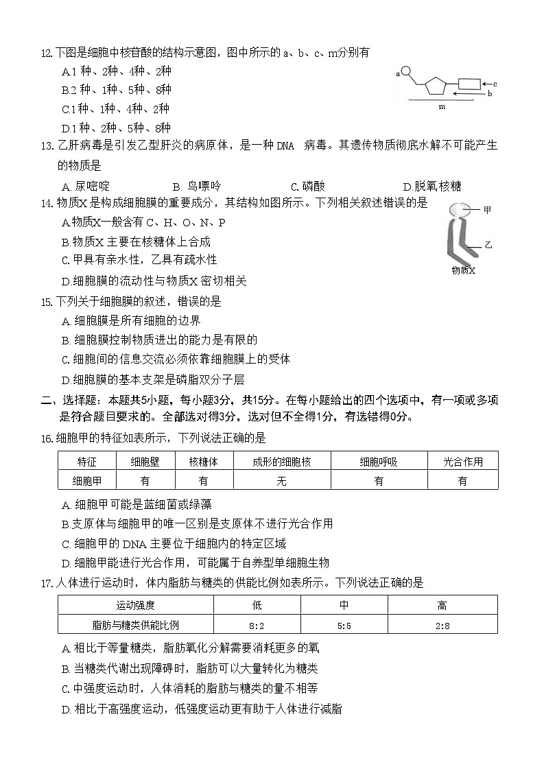 河南省部分名校2023-2024学年高一上学期11月期中考试生物试题（Word版附答案）03