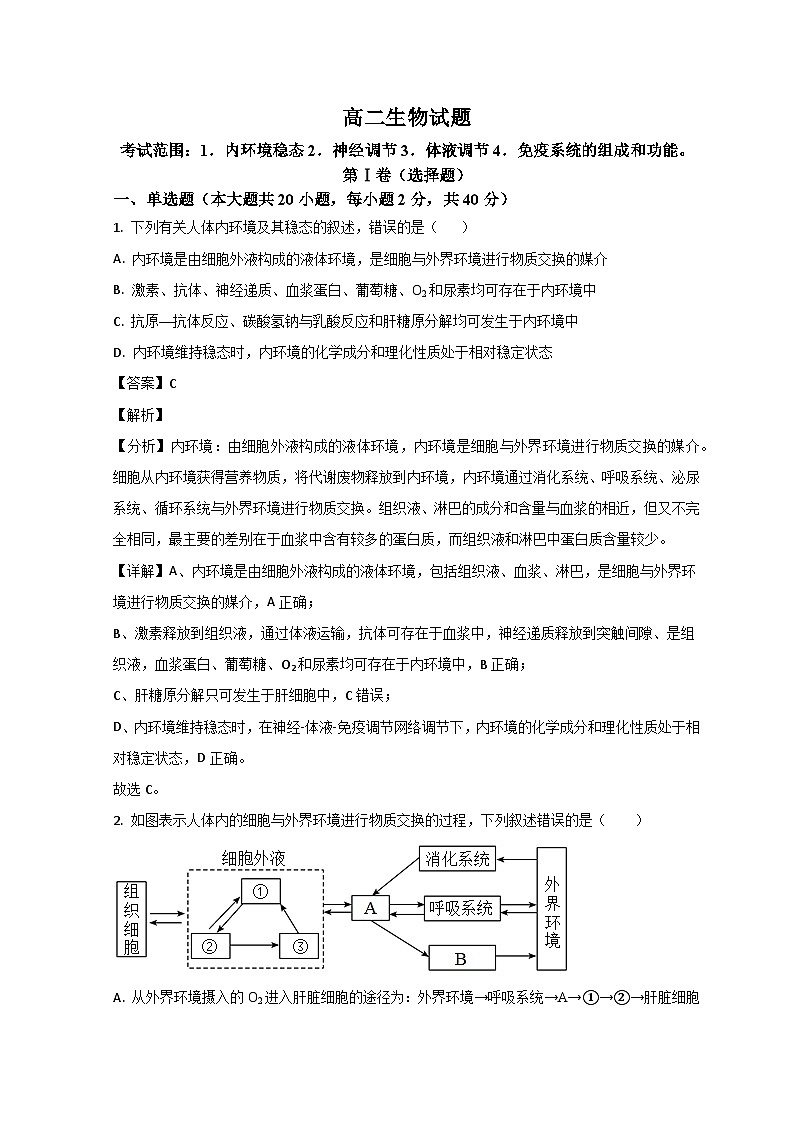 山东省鄄城县第一中学2024届高二上学期10月月考生物试题（Word版附解析）01