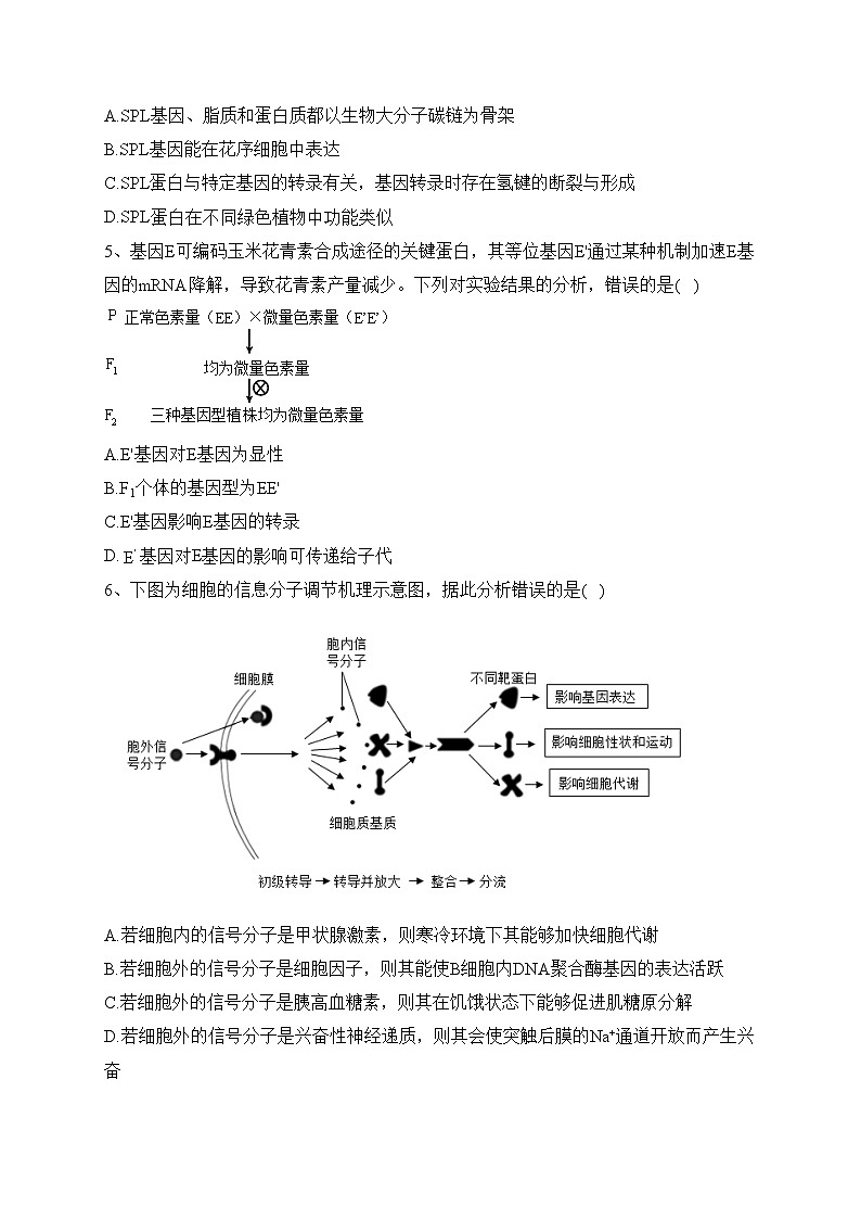 2023届海南省海口市龙华区海南华侨中学高三一模生物试题(含答案)02