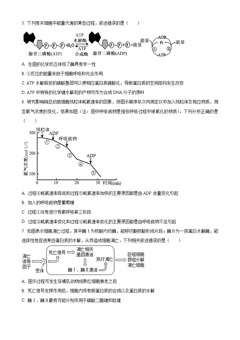 天津市南开区2023-2024学年高三上学期阶段性质量检测（一）生物+Word版含解析02