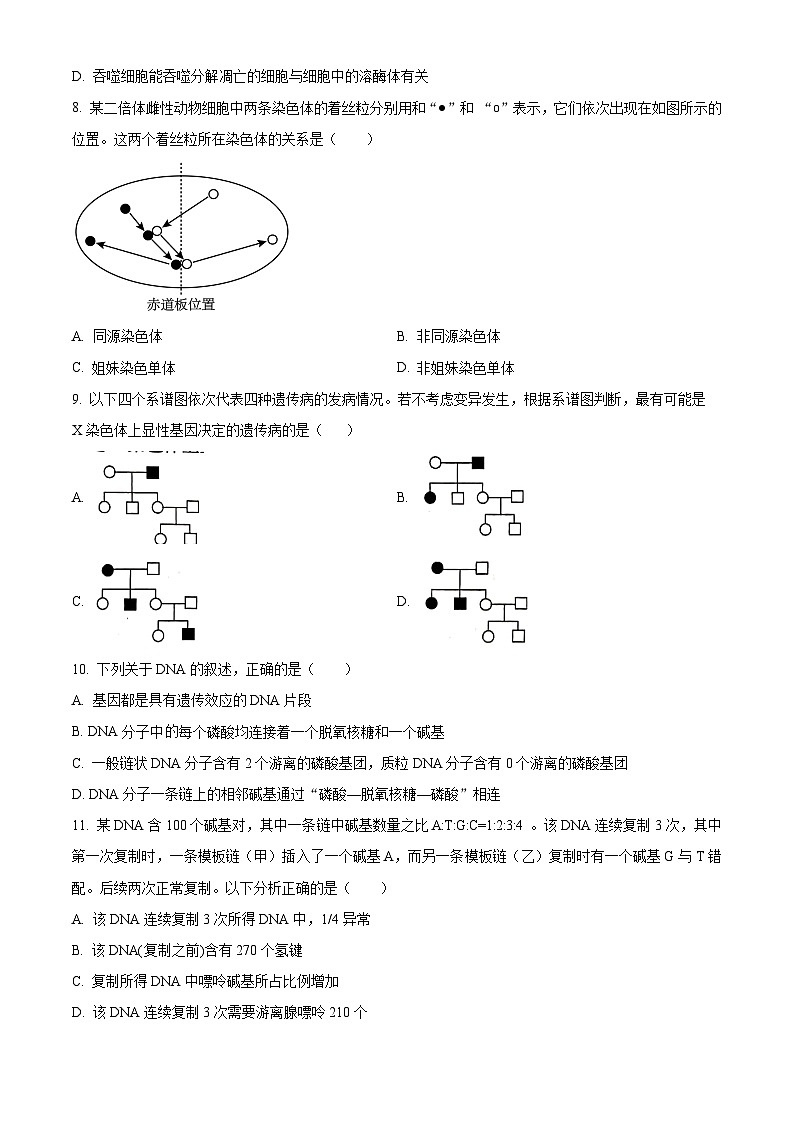 天津市南开区2023-2024学年高三上学期阶段性质量检测（一）生物+Word版含解析03