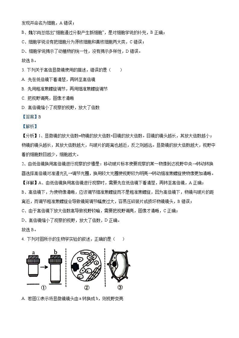 四川省泸州市泸县第一中学2023-2024学年高一上学期期中生物试题（Word版附解析）第2页