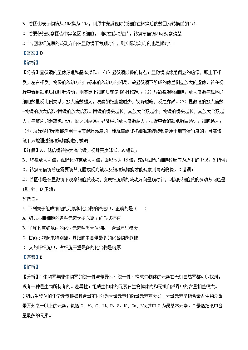 四川省泸州市泸县第一中学2023-2024学年高一上学期期中生物试题（Word版附解析）第3页