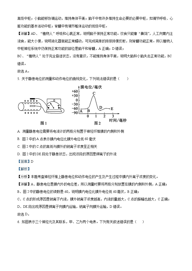 四川省自贡市第一中学2023-2024学年高二上学期10月月考生物试题（Word版附解析）03