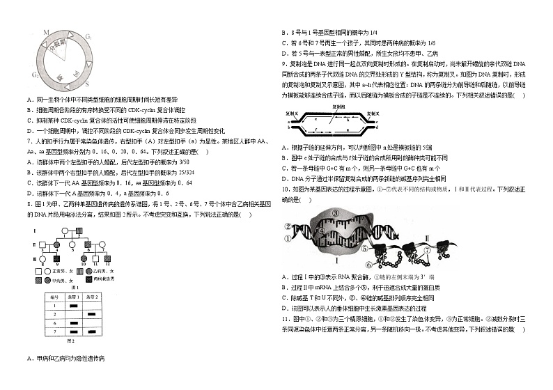 河南省栾川县第一高级中学2023-2024学年高三上学期11月阶段考试生物试题第2页