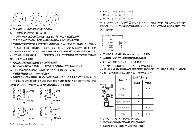 河南省栾川县第一高级中学2023-2024学年高三上学期11月阶段考试生物试题第3页