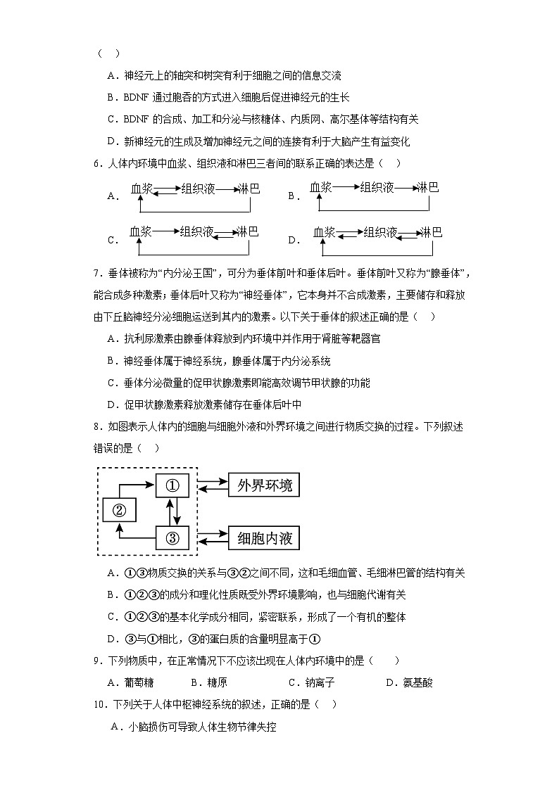 河南省周口市周口恒大中学2023-2024学年高二上学期期中考试生物试题第3页