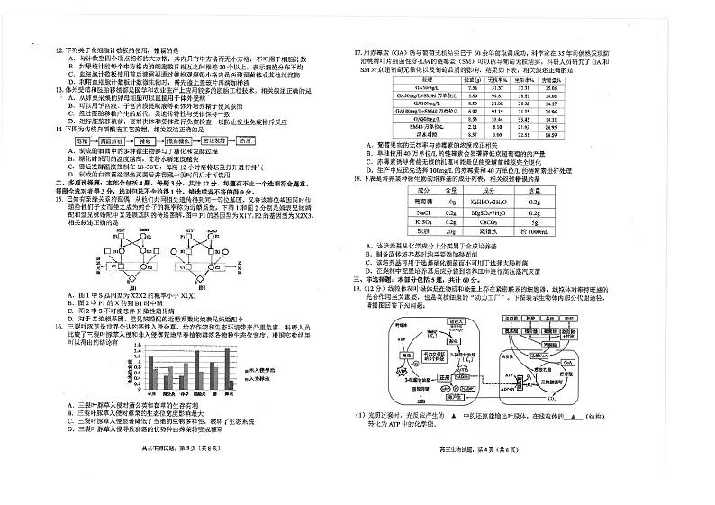 江苏省海安高级中学2023-2024学年高三上学期期中考试生物试题02
